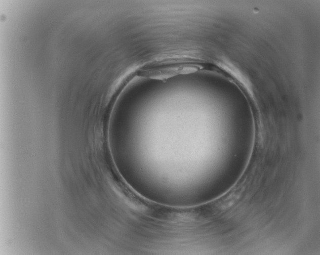 X0000073730107200608101940