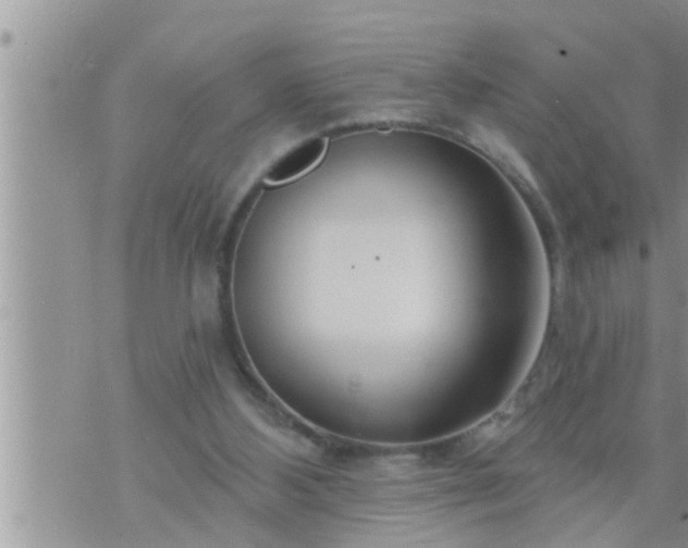 X0000073730108200608101940