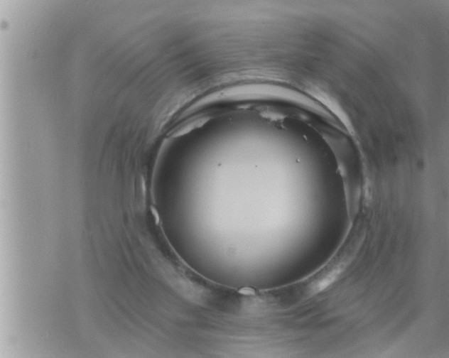 X0000073730109200608101940