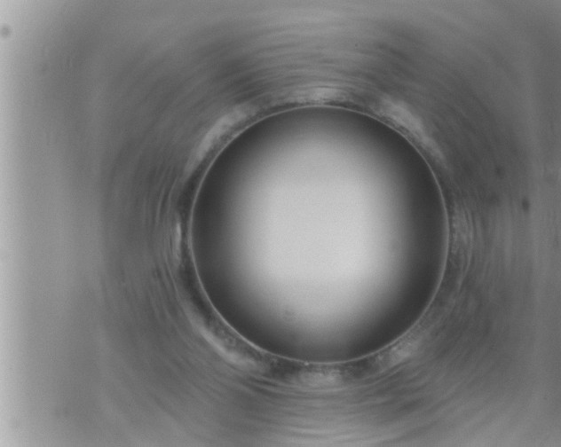 X0000073730110200608101940