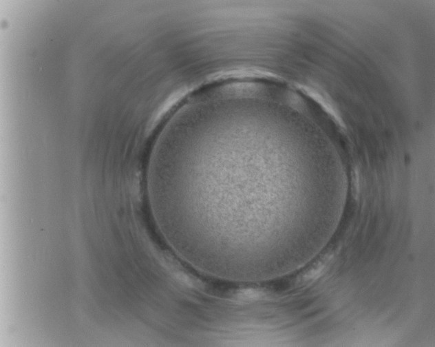 X0000073730111200608101940