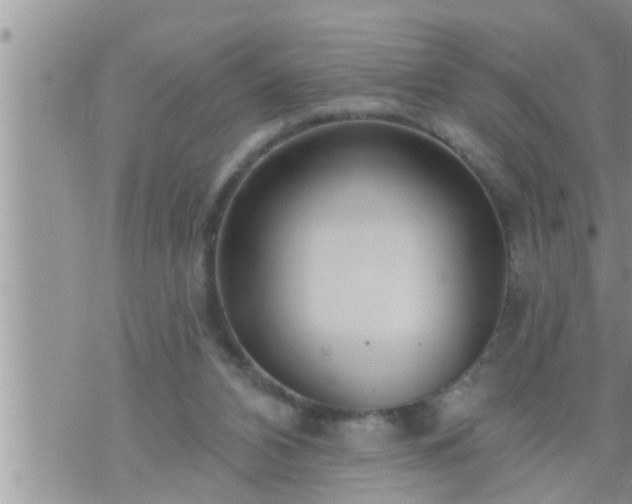 X0000073730112200608101940