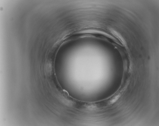 X0000073730113200608101939