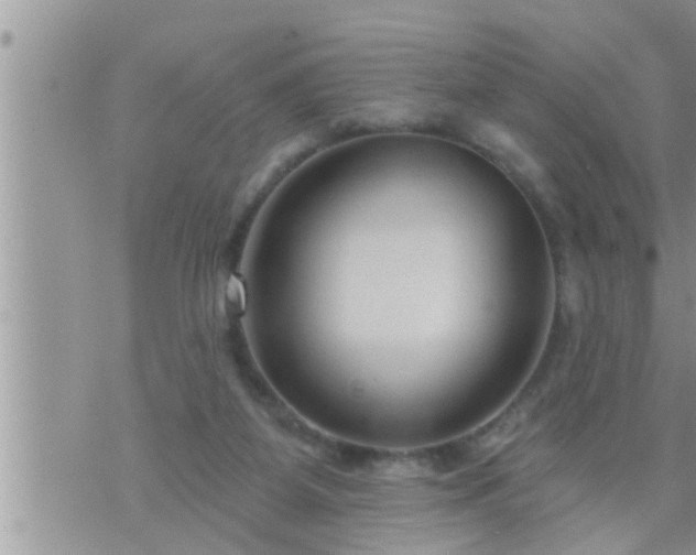 X0000073730115200608101939