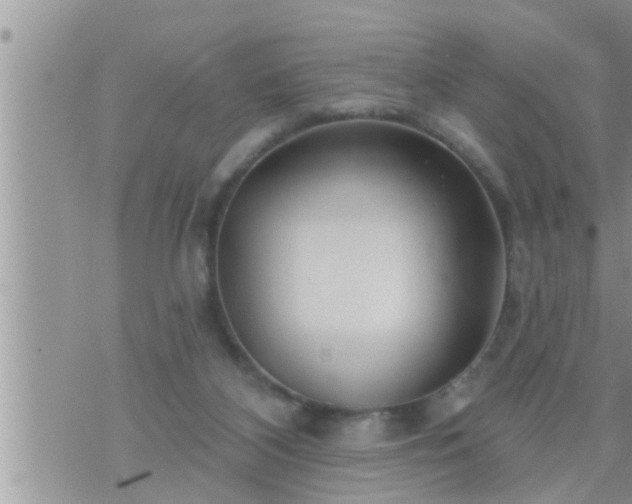 X0000073730116200608101939