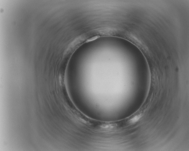 X0000073730117200608101939