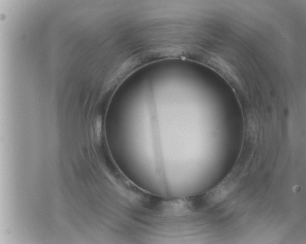 X0000073730118200608101939