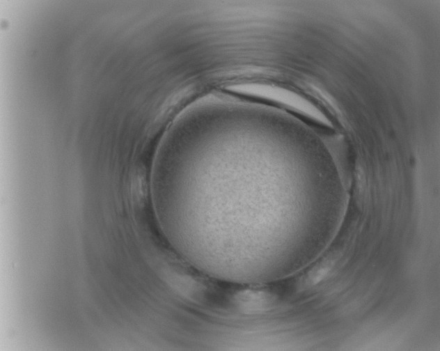 X0000073730119200608101939