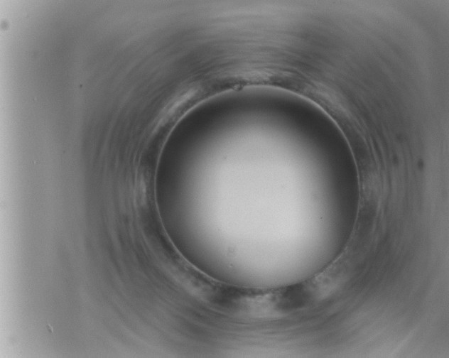 X0000073730120200608101939