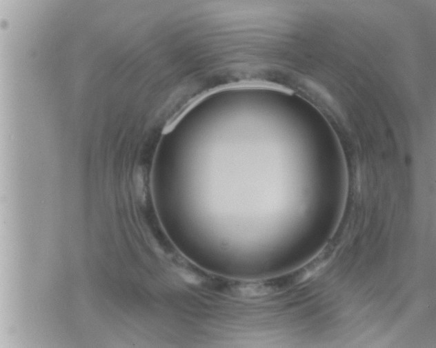 X0000073730121200608101939