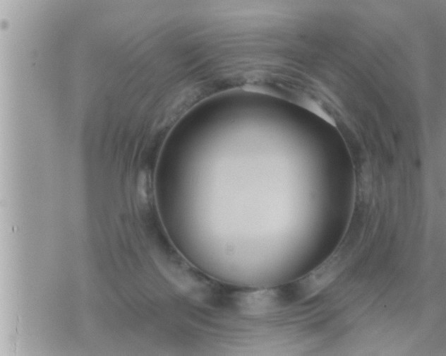 X0000073730122200608101939