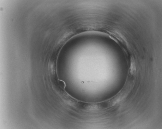 X0000073730123200608101939