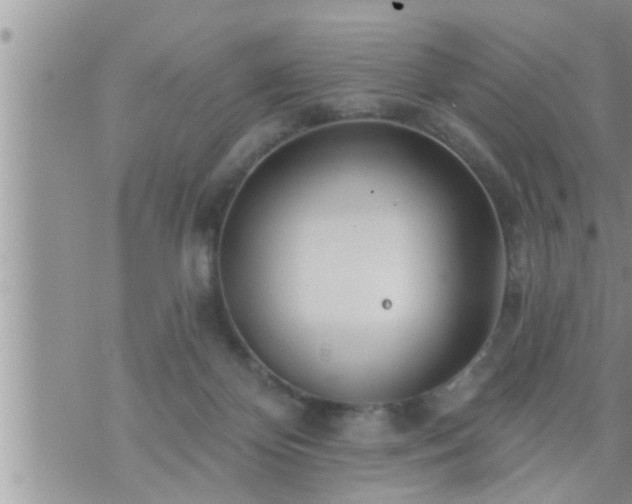 X0000073730124200608101939