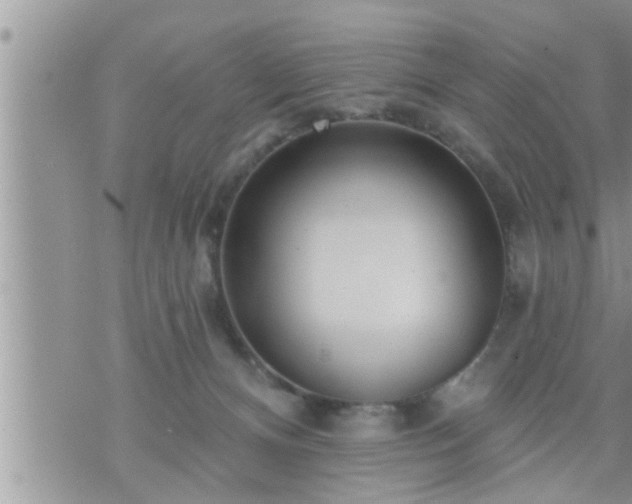 X0000073730128200608101939