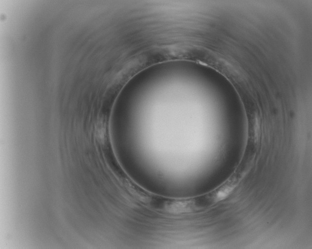 X0000073730129200608101939