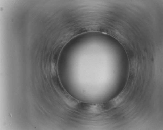 X0000073730130200608101939