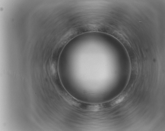 X0000073730131200608101939