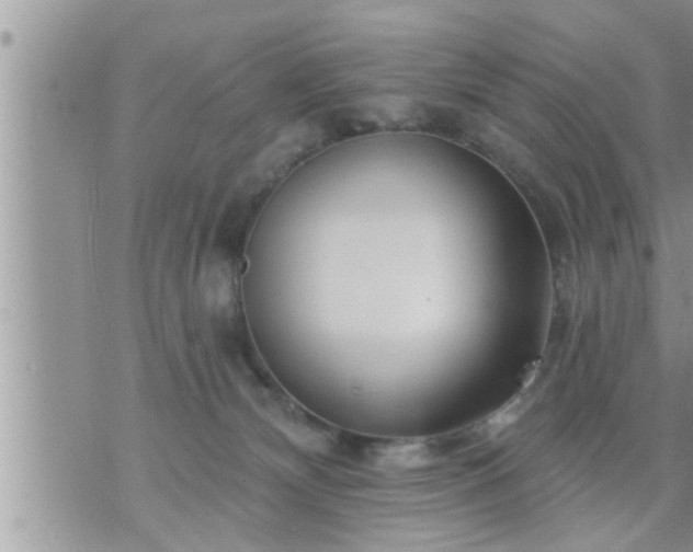 X0000073730132200608101939