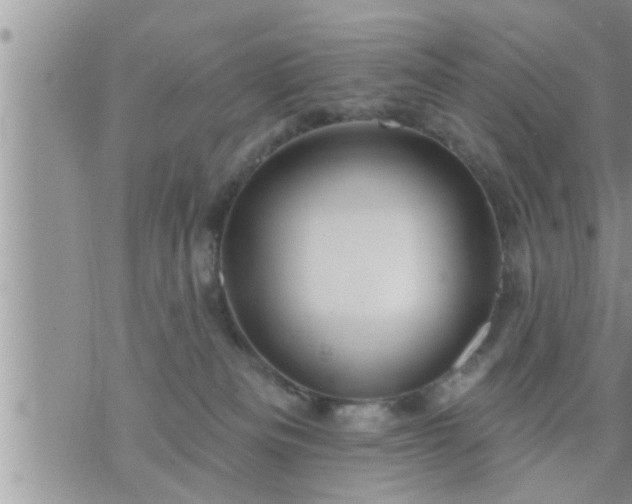 X0000073730133200608101939