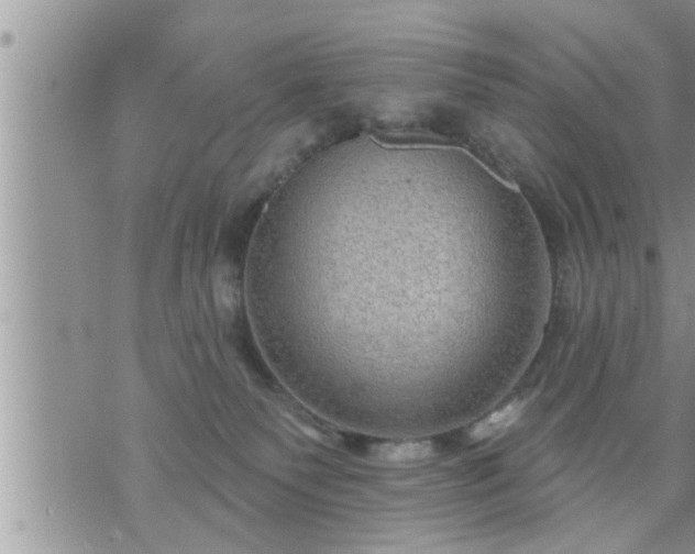 X0000073730135200608101939