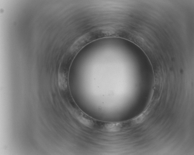 X0000073730136200608101939