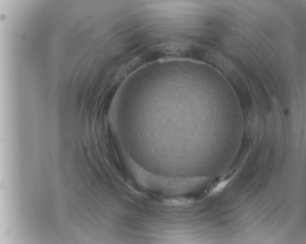 X0000073730137200608101939