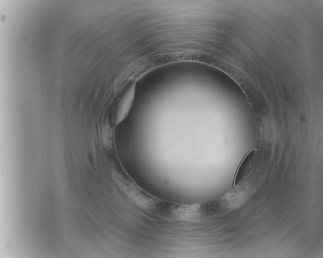 X0000073730138200608101939