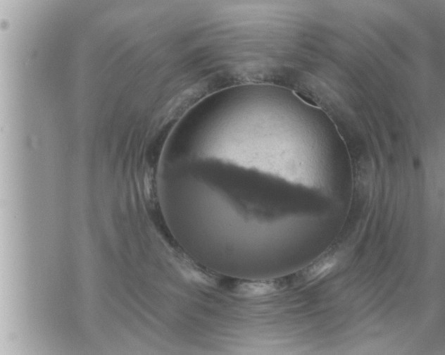 X0000073730139200608101939