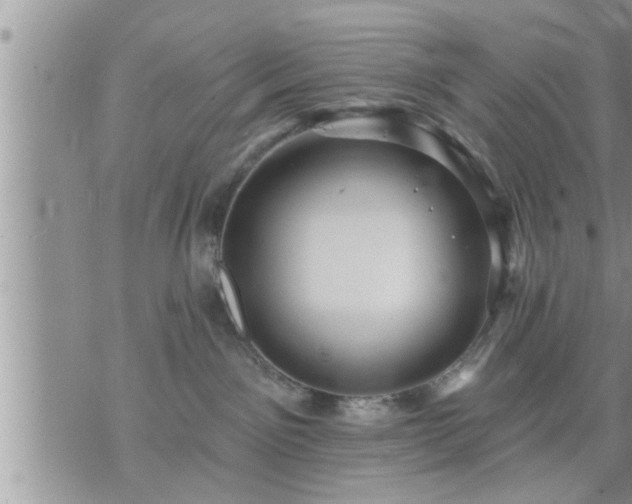 X0000073730141200608101939