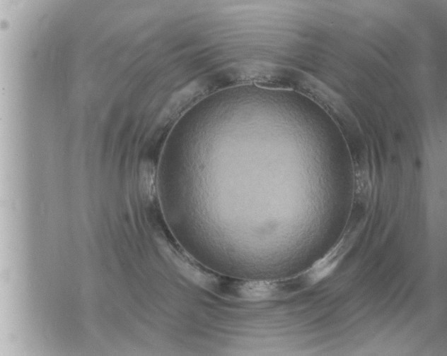 X0000073730142200608101939