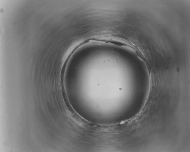 X0000073730147200608101938