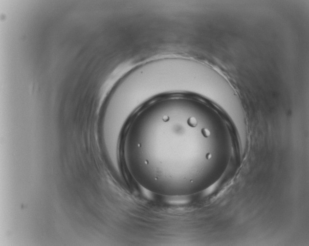 X0000073730152200608101938