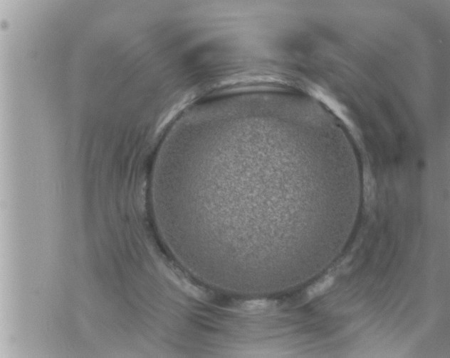 X0000073730153200608101938