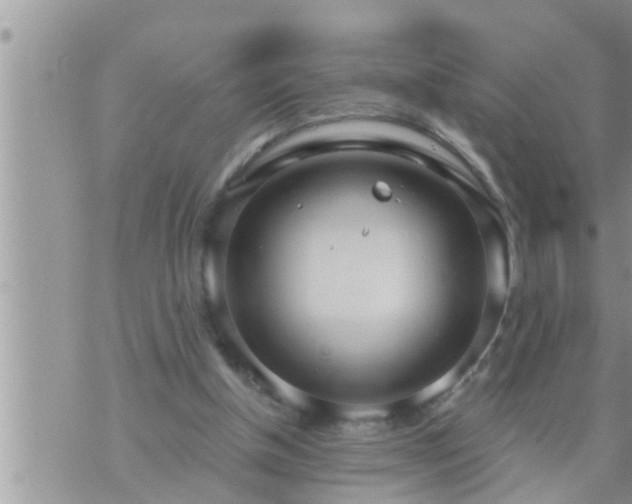 X0000073730154200608101938