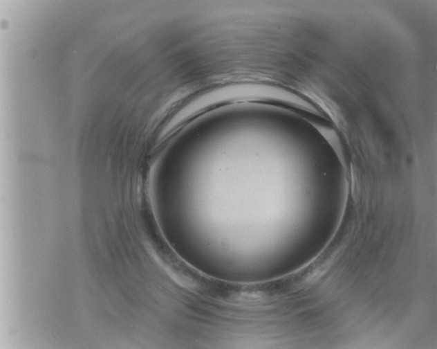 X0000073730157200608101938