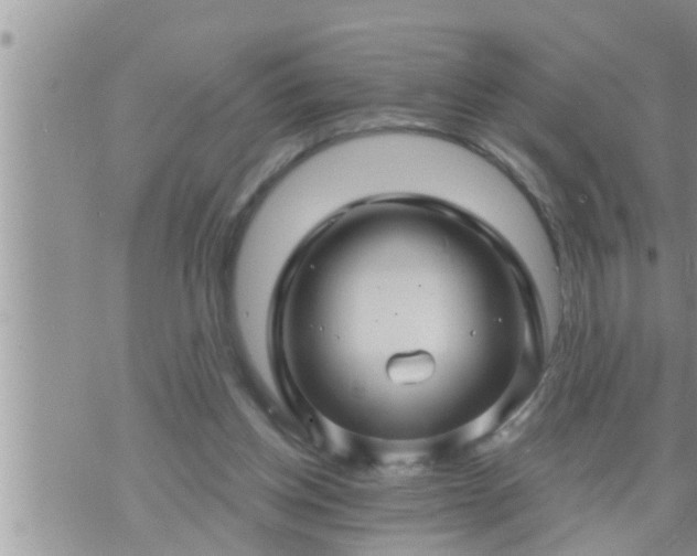 X0000073730158200608101938