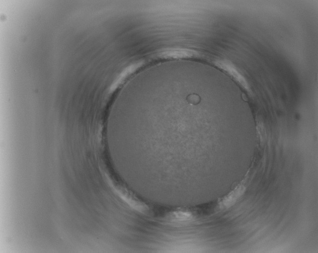 X0000073730159200608101938