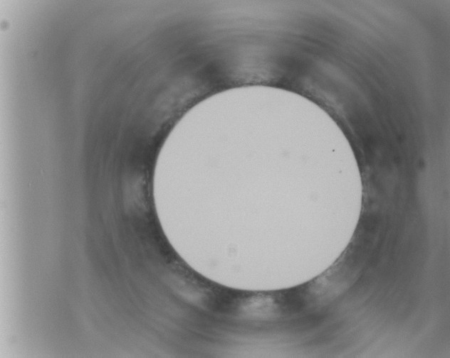 X0000073730162200608101938