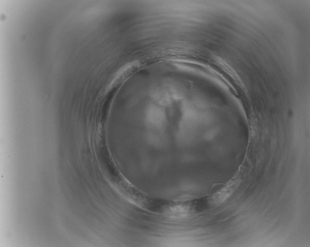 X0000073730163200608101938