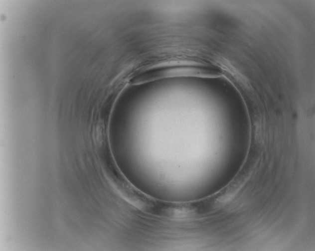 X0000073730165200608101938