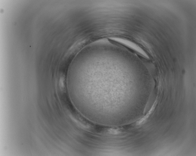 X0000073730166200608101939