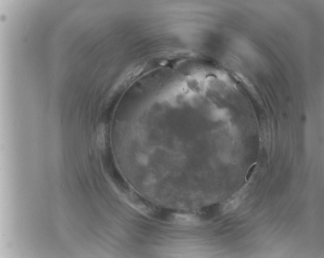 X0000073730167200608101939