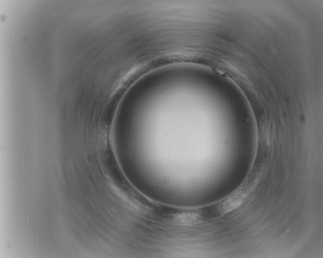 X0000073730168200608101939