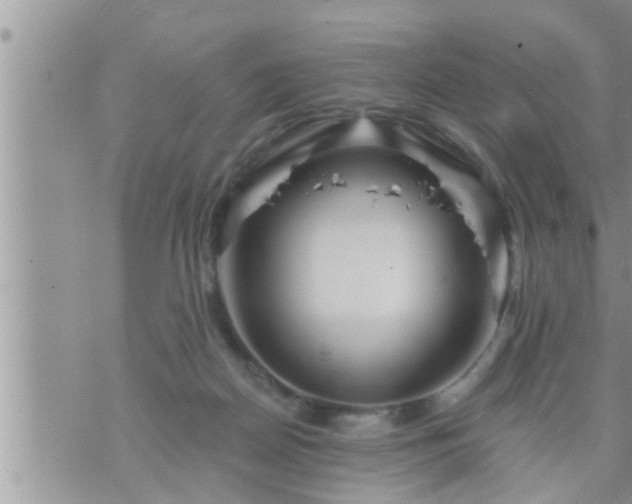 X0000073730170200608101939