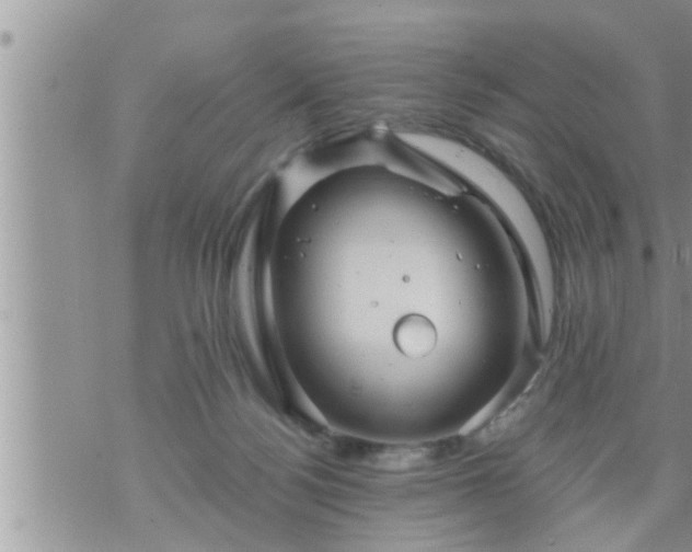 X0000073730172200608101939