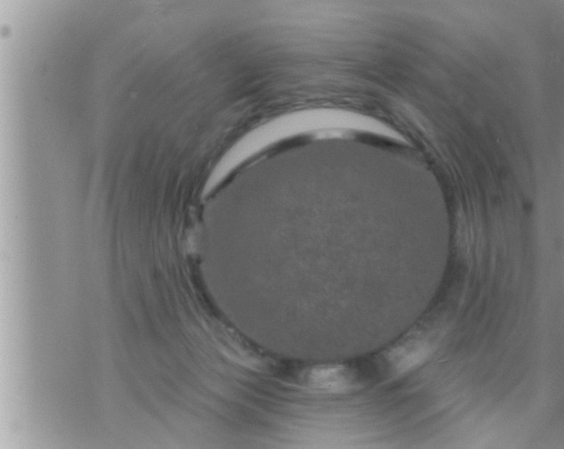 X0000073730173200608101939