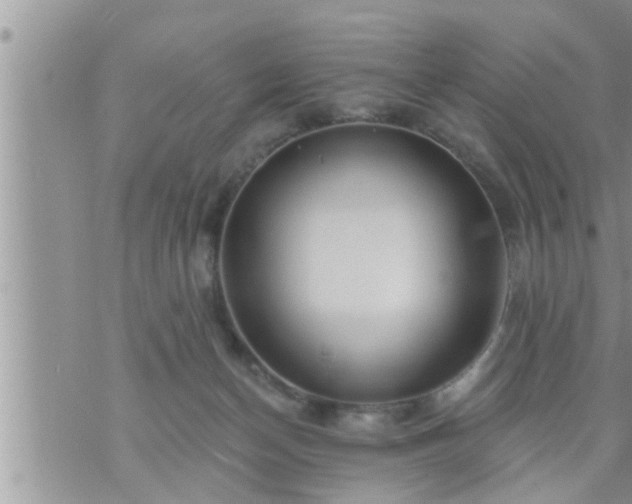 X0000073730174200608101939