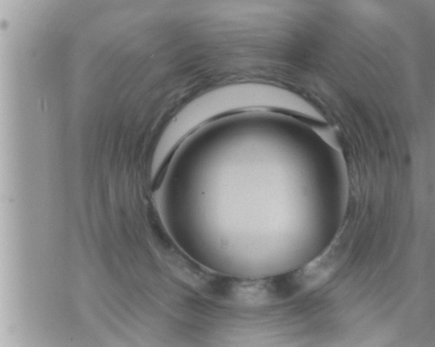 X0000073730175200608101939