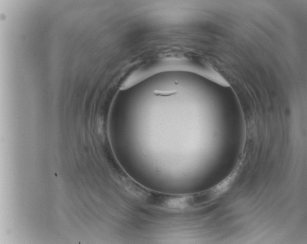 X0000073730178200608101939