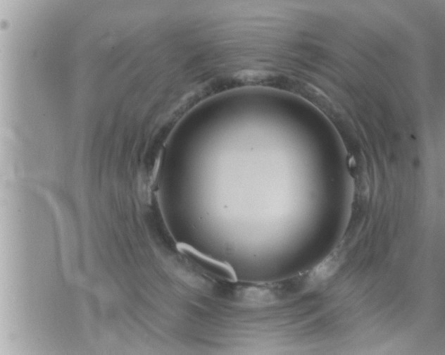 X0000073730180200608101939